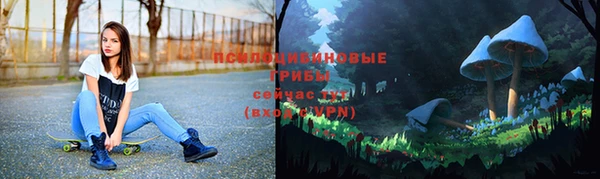 мдма Дмитриев